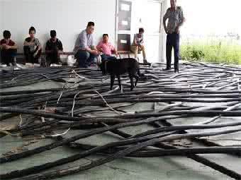 武汉二手电线电缆回收